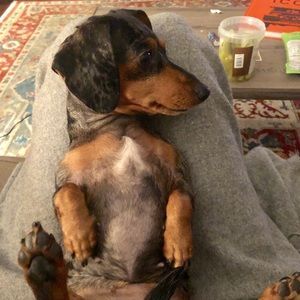 Meet your Posher, Emily